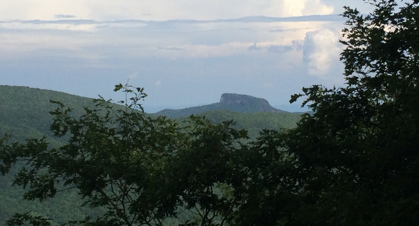 Beyond green tree leaves lies a mountainous rock formation.